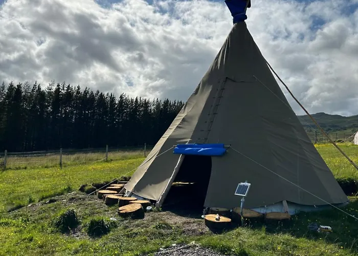 Shandon Tipi
